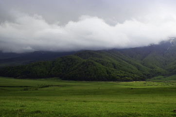 Fototapeta na wymiar Forested mountain slope in low lying cloud with the green trees in mist in a scenic landscape view