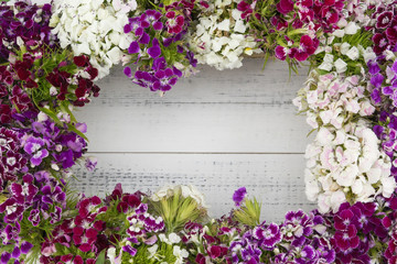 Fototapeta na wymiar Sweet william flowers background with square copy space