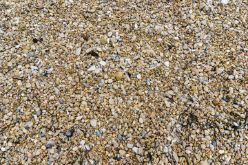 Pebble and rocks of the beach