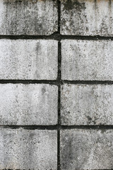 cement wall