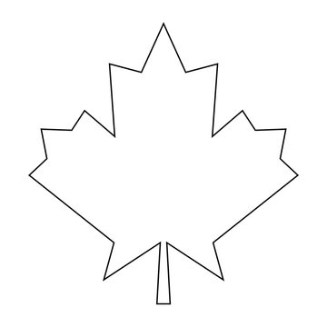 Maple leaf the black color icon .