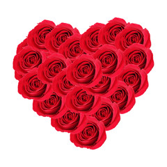 Valentines day heart made of red roses Isolated on white background.