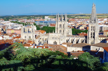 Fototapeta premium Arte y naturaleza