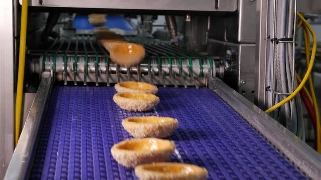 Baked Cake bottoms move over the conveyor belt in a bakery factory, production of food