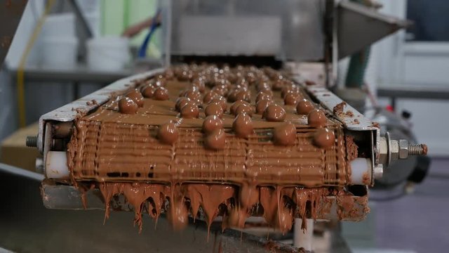 Chocolate sweets little candy balls with nuts on the conveyor belt of a factory