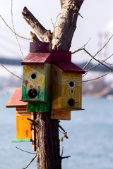 Multi Colored birdhouses