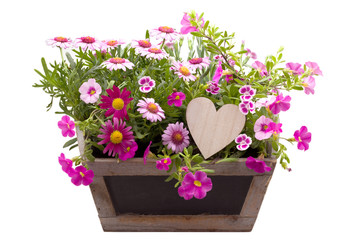 Bunt bepflanzte Blumenschale mit Herz