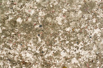 Concrete covered with moss..