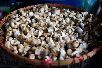 Fresh thai mushrooms on market