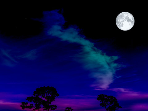 super moon on the dark night sky over tree