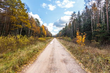 Fototapeta na wymiar Country dirt road during autumn with big puffy clouds.