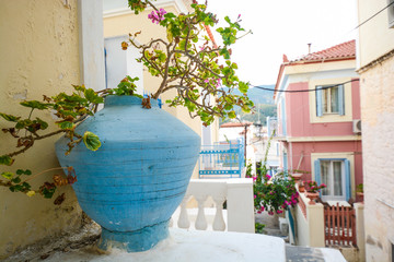 Fototapeta na wymiar Traditional greek yard - Front or Back Yard, Santorini, Greece, Ornamental Garden, Summer