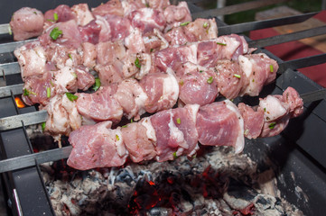 Raw marinated meat cut into pieces on a skewer over the coals