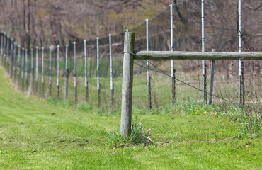 Long fence in the farm