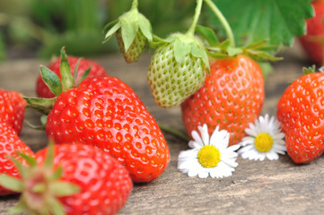 fraises du jardin sur planche en bois 