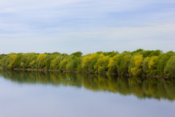 River and trees. Beautiful summer landscape