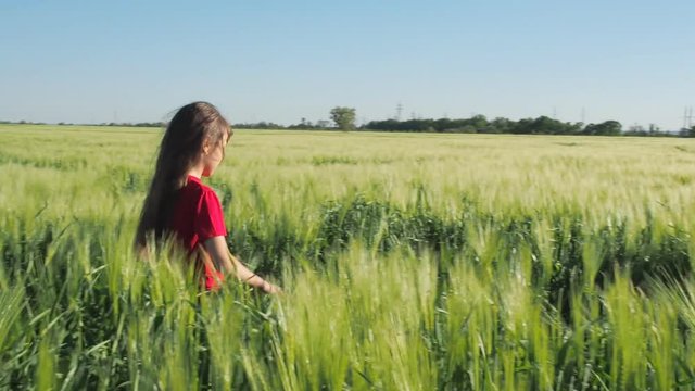Girl in a field of wheat. The child is played with wheat spikes.