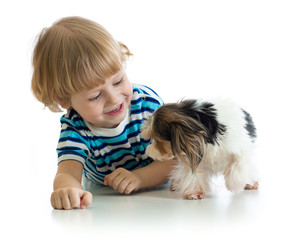 Little boy and his pet dog play, isolated on white background.