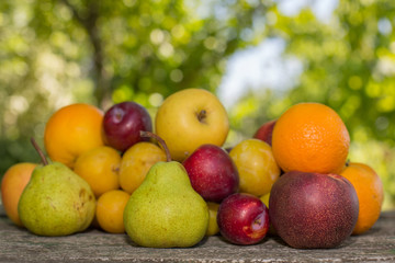 fruits