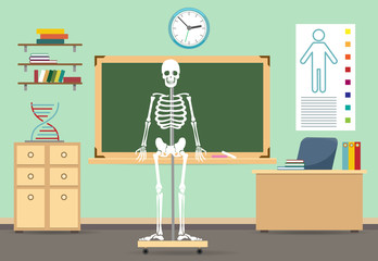 Anatomy classroom interior vector illustration. Empty class room with human skeleton for biology school literature lesson