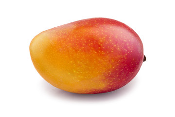 Fresh juicy mango fruit isolated on the white background.