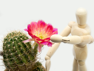 The puppets are taking care of the red flowers. White background (isolate)
