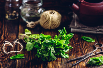 Bunch of Fresh Mint.
