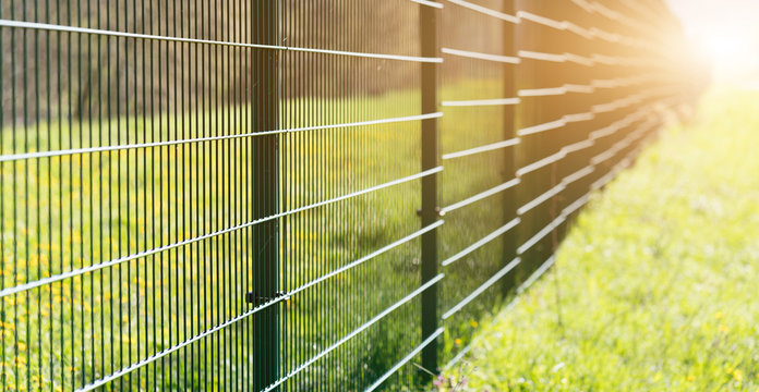 Metal fence leaving in perspective with the sun