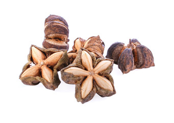 Roasted Inca peanut  on white background