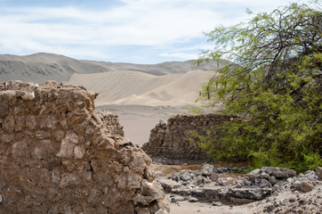 Green tree and ruins of well in the middle of desert