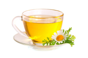 Herbal tea with fresh chamomile flowers isolated on white background