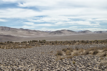 Fototapeta na wymiar View to the desert, mountains, grass and saline