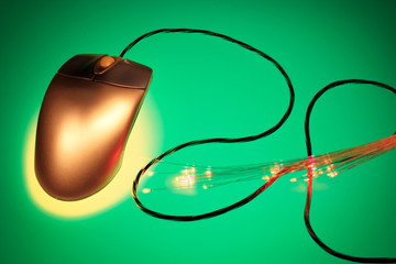 Computer Mouse with Optical Fibres