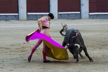 Bullfighter in a bullring