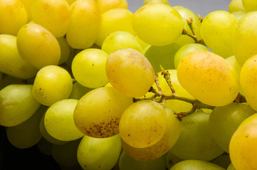 Large grapes cluster
