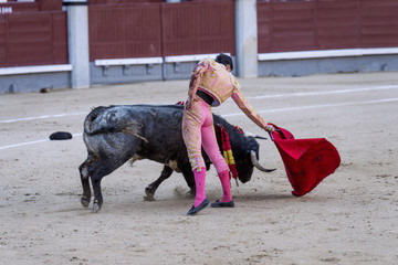 Bullfighter in a bullring