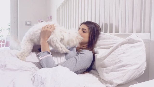 Dog licking woman in love in bed playing