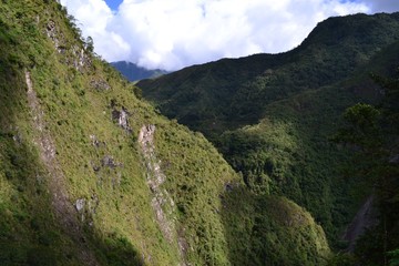 Fototapeta premium Rice terraces Banaue