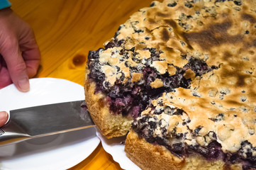 sponge cake with black currants