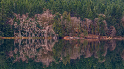 Incredible reflection of the forest in the huge lake. Beautiful lake, Olympic peninsula. USA.
