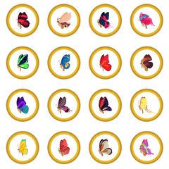 Butterfly icon circle