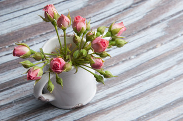 Pink mini roses