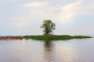 Obraz premium The sea horizon in cloudy weather