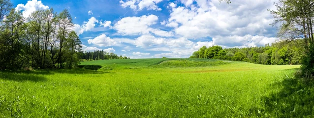 Selbstklebende Fototapete Land Sommerlandschaft mit Wald und Feld in Tschechien