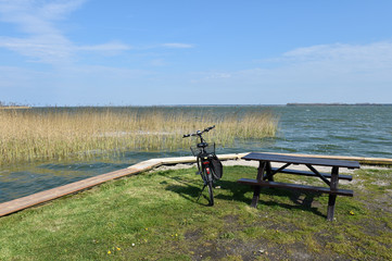 Schilflandschaft am Darßer Bodden