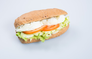 sandwich or tasty egg sandwich on background.