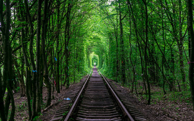 Obraz premium The guy with the girl gudlyayut railroad tunnel of love spring forest