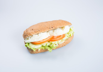 sandwich or tasty egg sandwich on background.