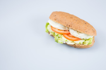 sandwich or tasty egg sandwich on background.