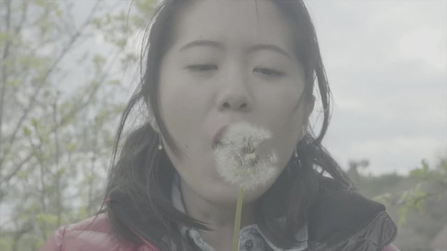 girl blow dandelion-Sony Slog